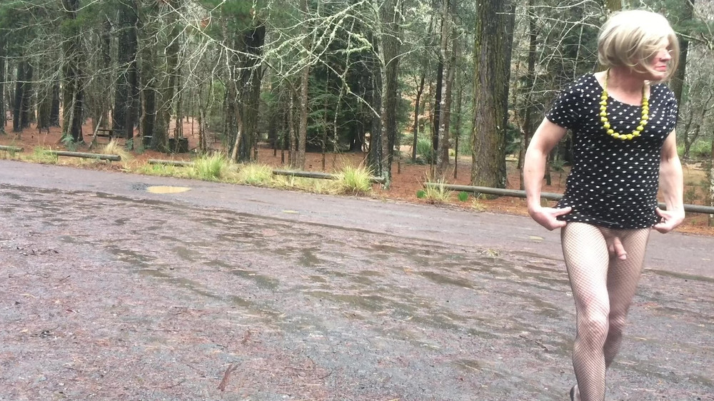 Cross dress Road Trip - Short dress, fish nets