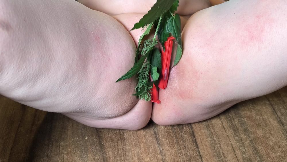 Clamps and nettles pussy torture #21