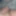 tiny cock