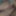 いくつかの写真