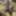 Flroian Johannes Mueller nude at the beach #37