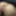 Sexy Olivia Wilder Interracial Sex #7