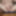 My Big Horny Cock