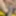 Sex pic