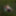 In Forest #5