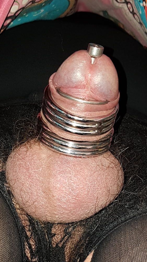 Cock ring #43