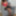 Real homemade bhabhi fuck with boyfriend first time in hotel #8