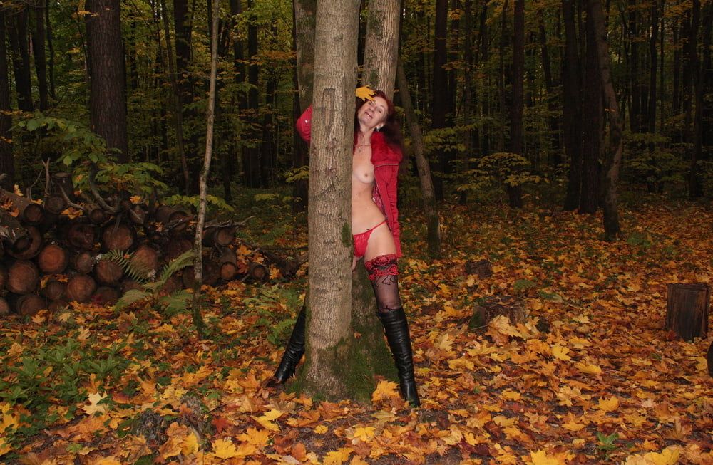 Red Autumn 5 #5