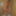 Kinky beauty masturbates in the shower for me #16