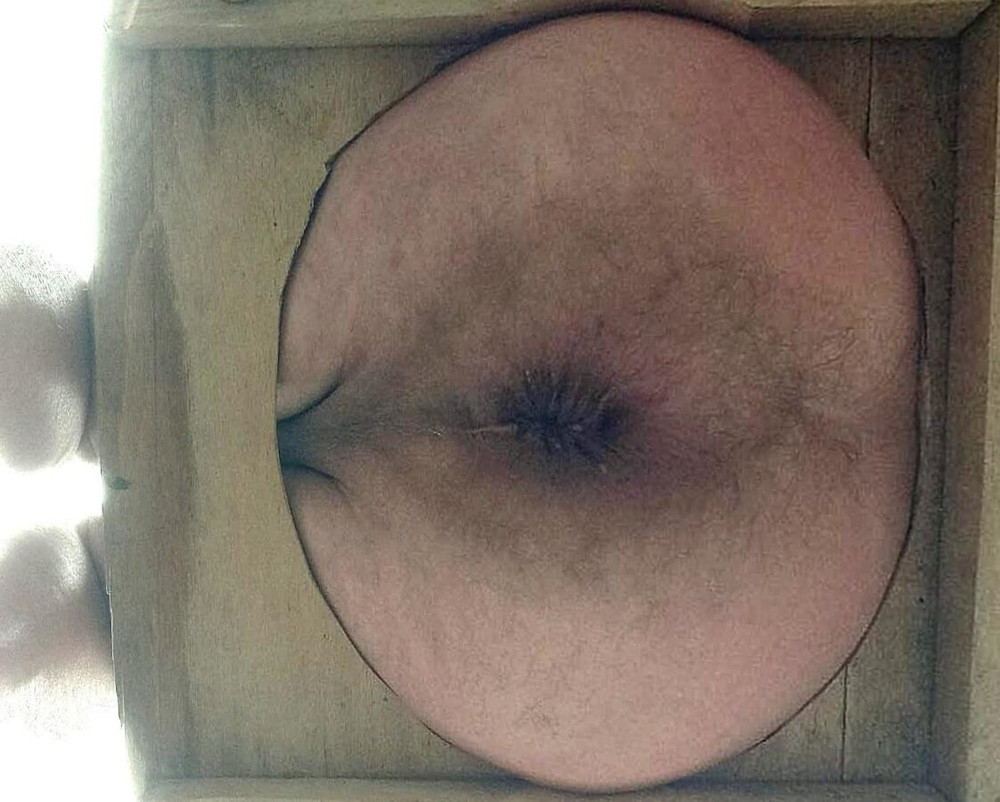 Fuck my Ass 