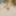 Mlif Muschi nackt am Strand in Mesquida #10