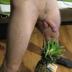 Pineapple