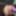 New video incoming 