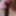 Blowjob Housewife Mature MILF 