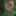 Nude in Frontyard