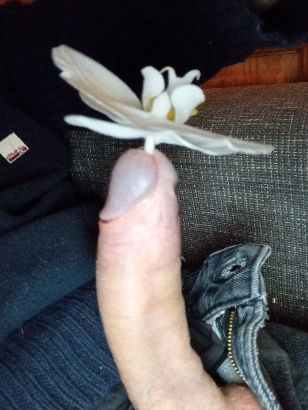 inserting #3