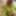 Amateur crossdresser Kellycd2022 holiday in white stockings #21