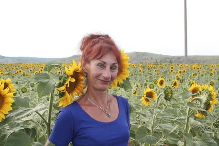 sunflowers         