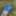 Cover up, reveal #35