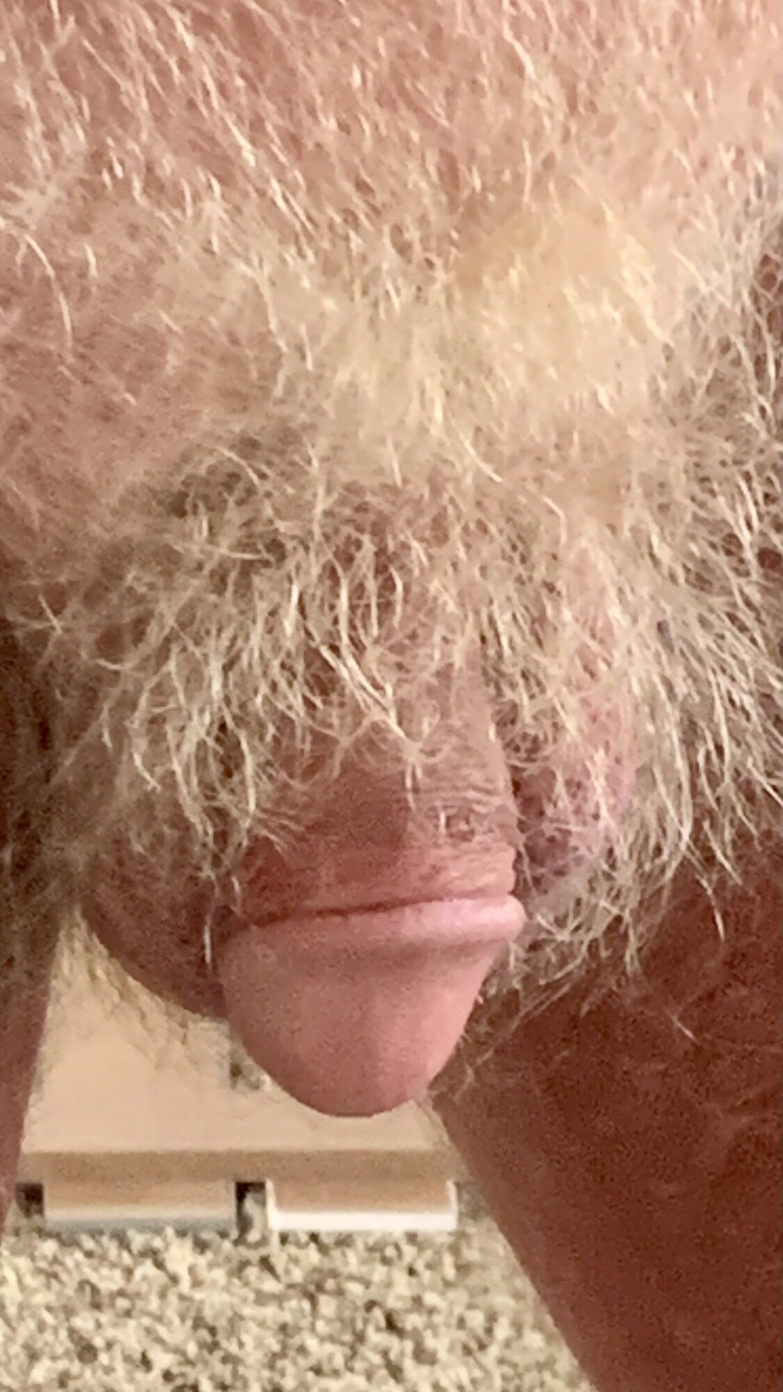 MY BLONDE HAIRED TAN COCK #7