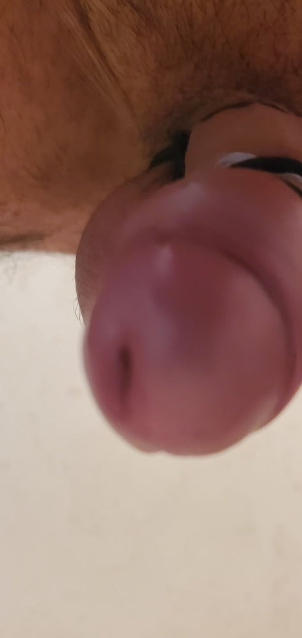 Cock view #4