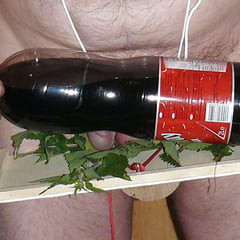 nettle