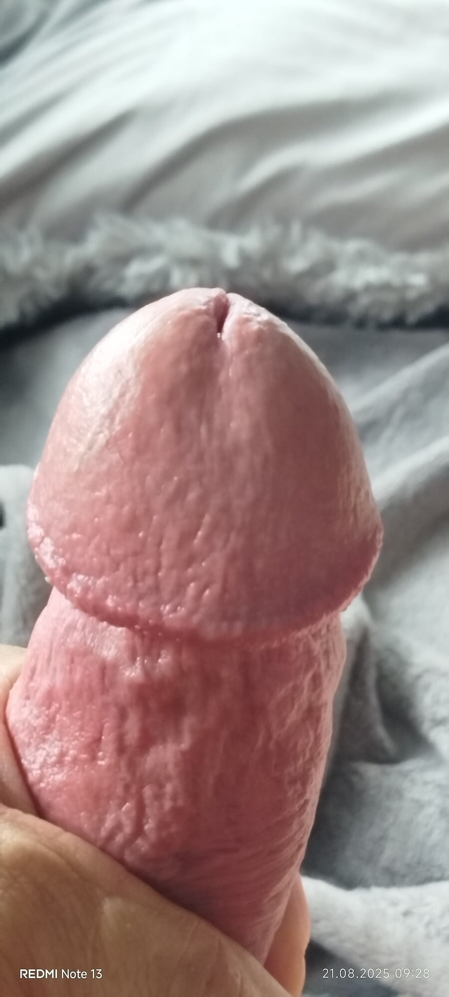 My Hard Cock #49