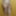 Nude in CONVERSE CHUCKS