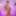 GROOBYGIRLS: Introducing Antonella Morena