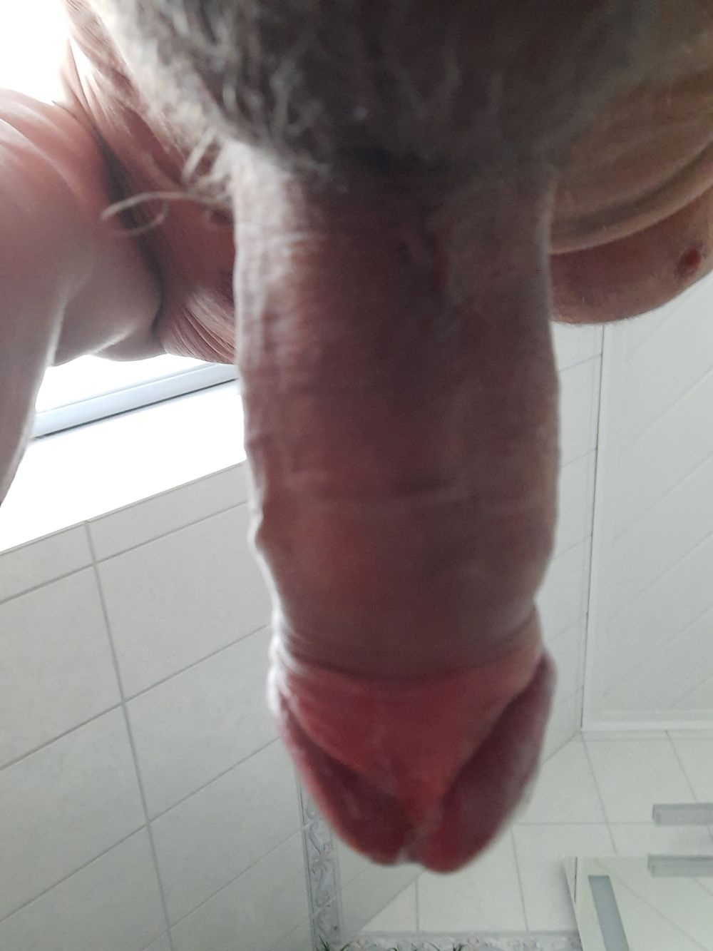 Cock  #4