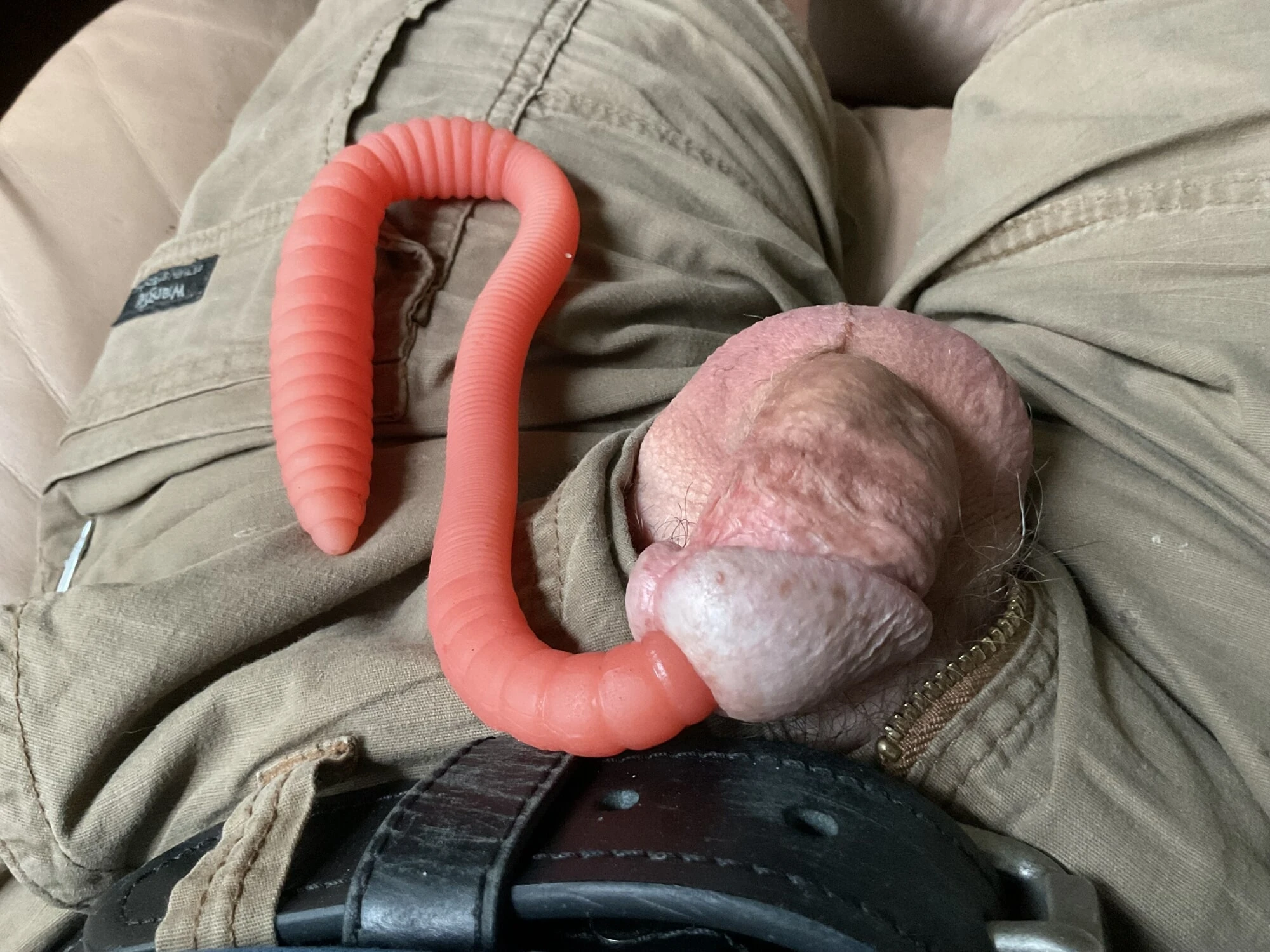 Large Worm In My Penis