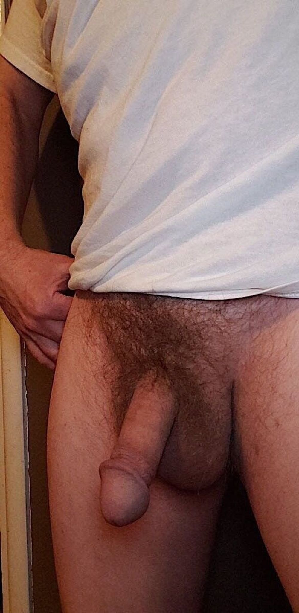 Hairy Circumcised Cock #15