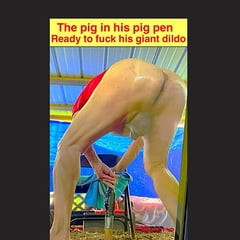 Piggy