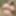 Cleo naked in the forest