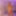 アクチュエル 19.12.2024