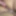 BIG COCKS, BOYS FUCKING BAREBACK, SUCKING DICKS #5