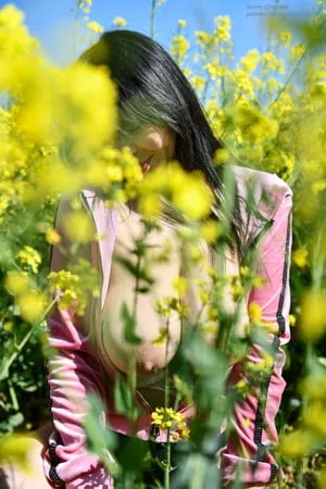 sunny chocolat spring fields         