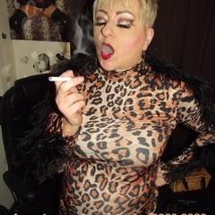 BEWARE OF THE LEOPARD