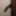 Black dick