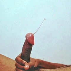 Desi Boy Oiled Hard Dick 
