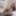 BRAZILIAN TRANSSEXUALS: 5 Stars Return Coming Right Now