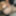 Big Booty Latina MILF Anal Creampie