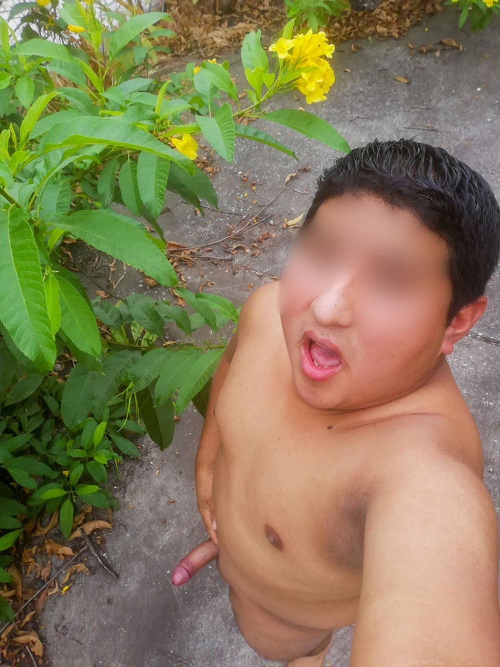 SelfiesNudes al Aire Libre (Excitado en la Calle) 2.0