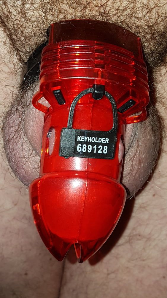 Chastity cage #24