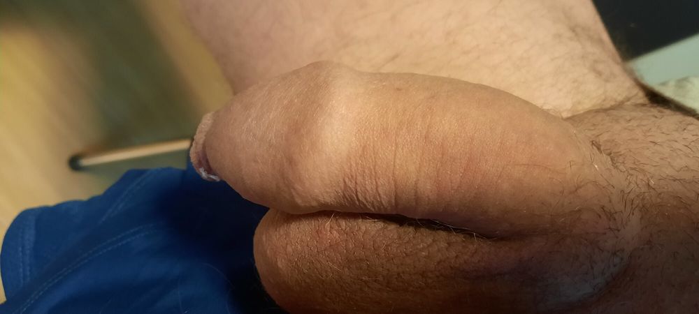 Horny cock  #3