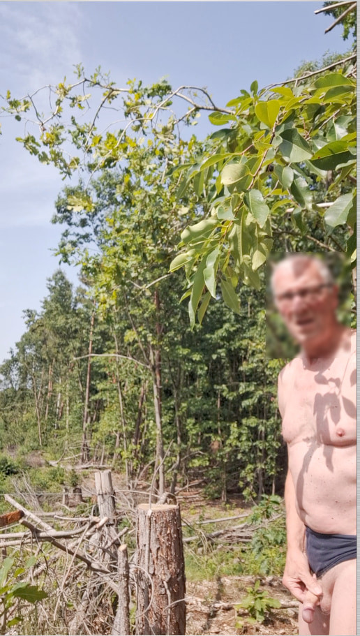 GAY GRANDPA EXHIBITONIST PUBLIC OUTDOOR CRUISING CUMSHOT SEX #32