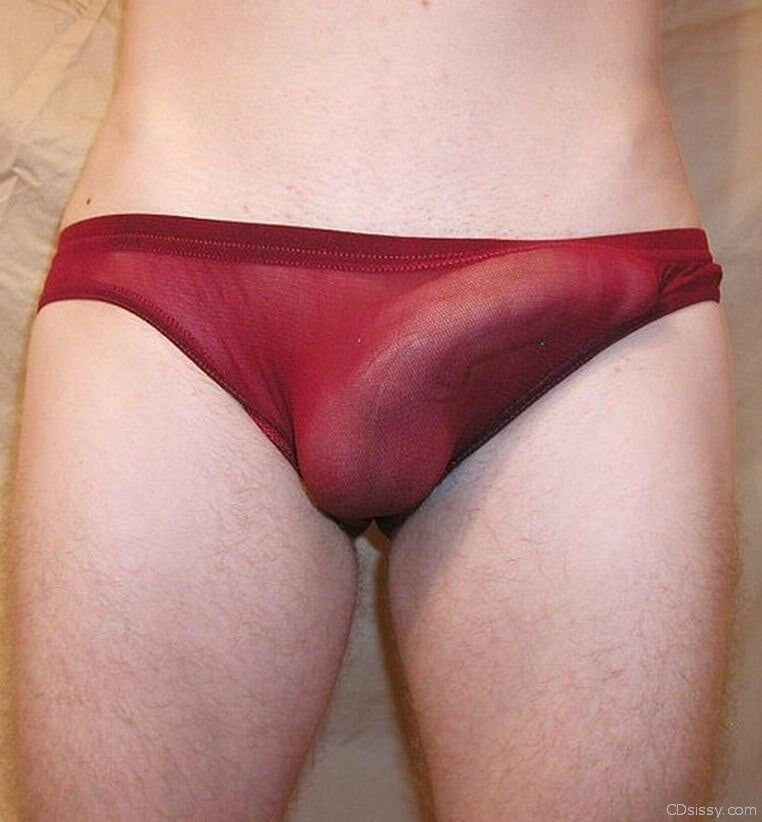 More sheer panties 