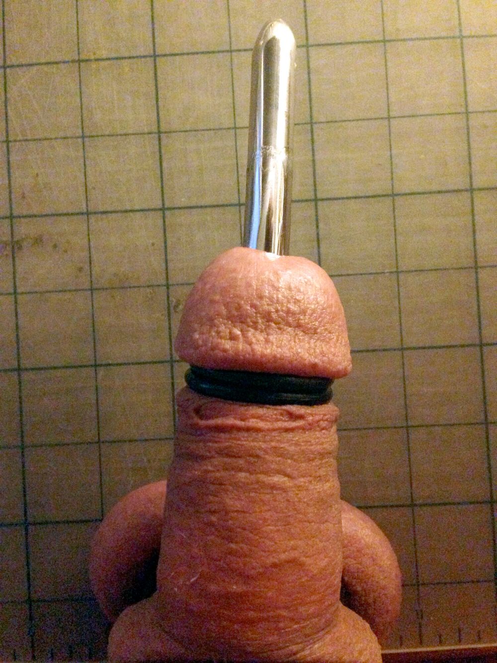 12mm sound going in my cock #2