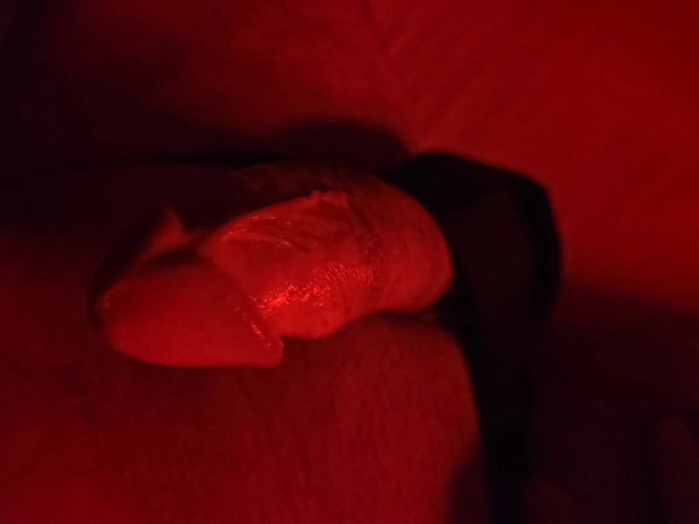 Red Light #5