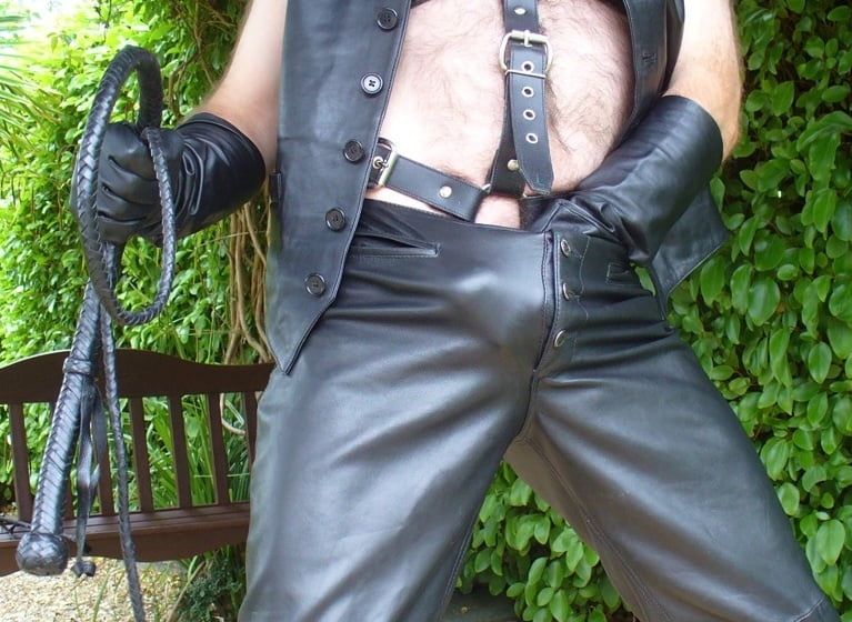 Leather Master outdoors in harness with whip #20